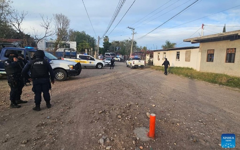Gunmen opened fire during an amateur soccer match in central Mexico on Sunday, killing at least 11 people and wounding 12 others, local authorities said.