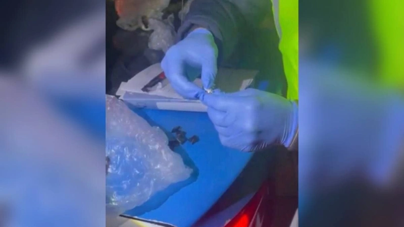 Almatyda tsıfrlyq tólemmen jumys istegen esirtki taratýshylar ustaldy