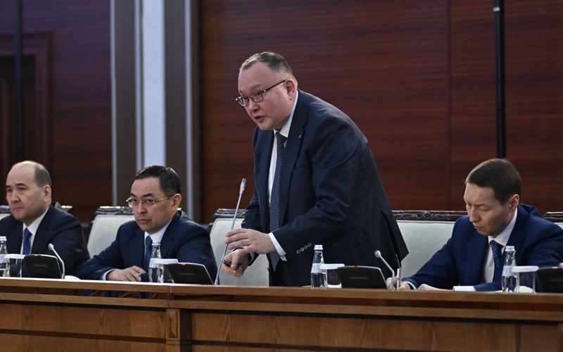 Президент көші-қон үдерістерін жаппай цифрландыруды өте өзекті мәселе ретінде атады