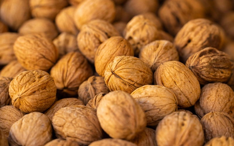Kyrgyzstan exports 3.8mn kg of walnuts in 2025