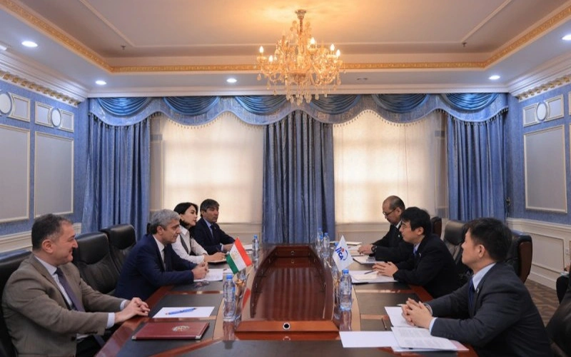 Dushanbe hosts talks on expanding Tajikistan-Japan cooperation across key sectors