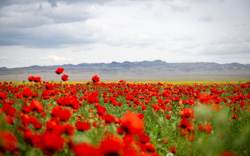 杰特苏州生态旅游迎来新高峰 两大国家公园游客量大幅增长