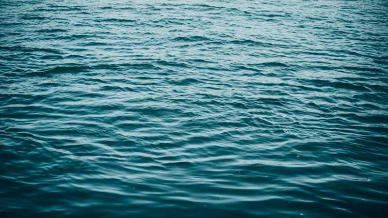 Pioneering water solutions: Jordanian expert wins top agricultural award