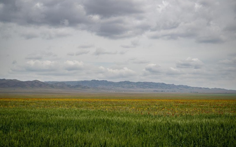 杰特苏州生态旅游迎来新高峰 两大国家公园游客量大幅增长