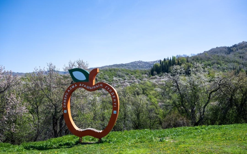 杰特苏州生态旅游迎来新高峰 两大国家公园游客量大幅增长