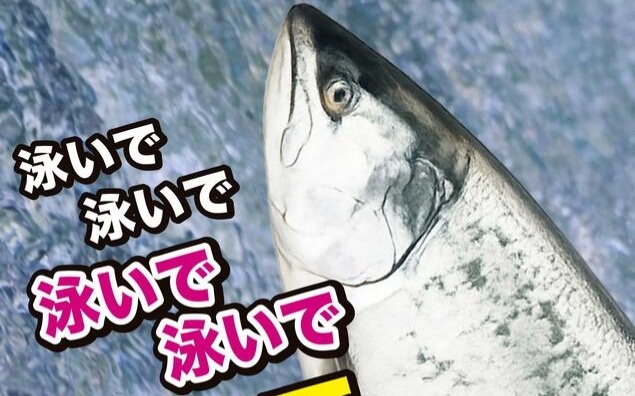 Japan town to cast votes for most popular seafood on same day as election