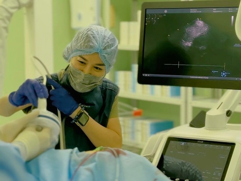 Almaty doctors replace heart valves without general anesthesia on elderly patients Almaty doctors replace heart valves without general anesthesia on elderly patients