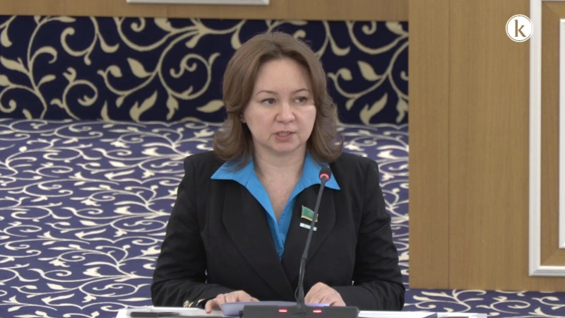 Ұсынылған өзгерістер Конституцияның басым бөлігін қамтиды – Снежанна Имашева