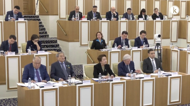 Конституционно закрепить защиту научной и творческой деятельности предлагают в Казахстане