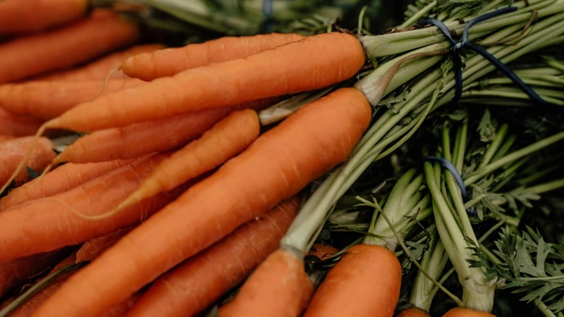 No plans to restrict carrot exports in Kazakhstan — Deputy PM