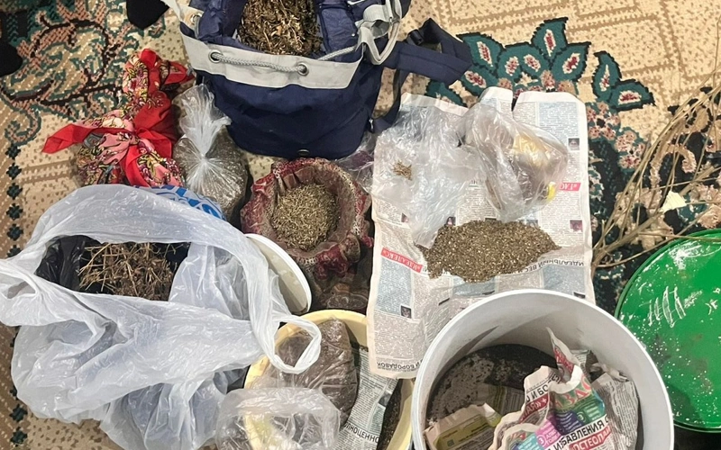 Bolee pıatı kılogrammov marıhýany hranıl ý sebıa doma akmolınets