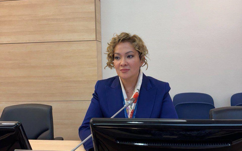 Kazakh Saltanat Tompiyeva named ICAO ambassador