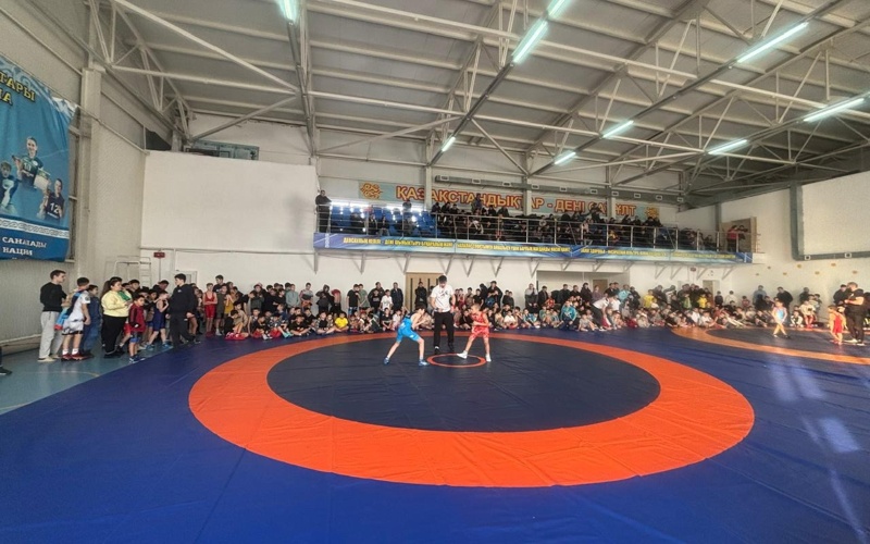 СҚО-да &laquo;Жас балуан&raquo; лигасына спортқа енді қадам басқан балалар қатысып жатыр