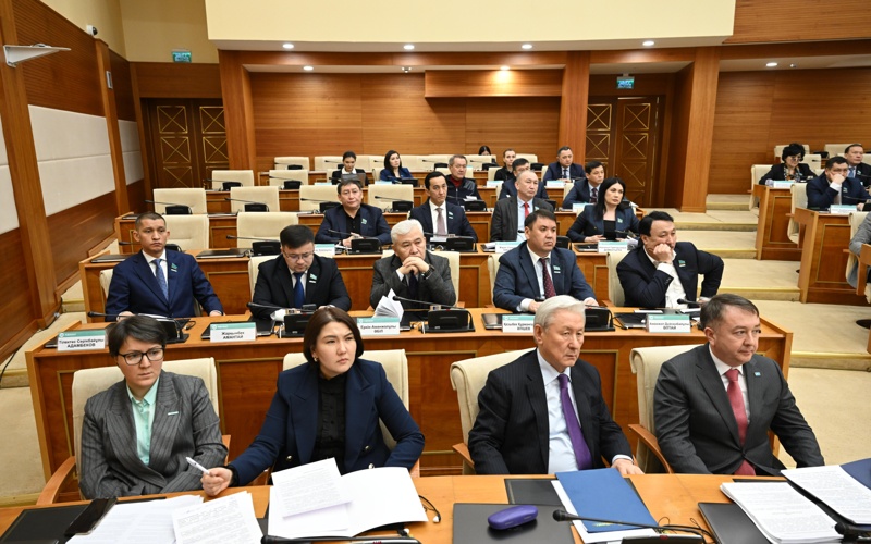 &laquo;AMANAT&raquo; партиясы Жаңа Конституция жобасына қолдау білдірді