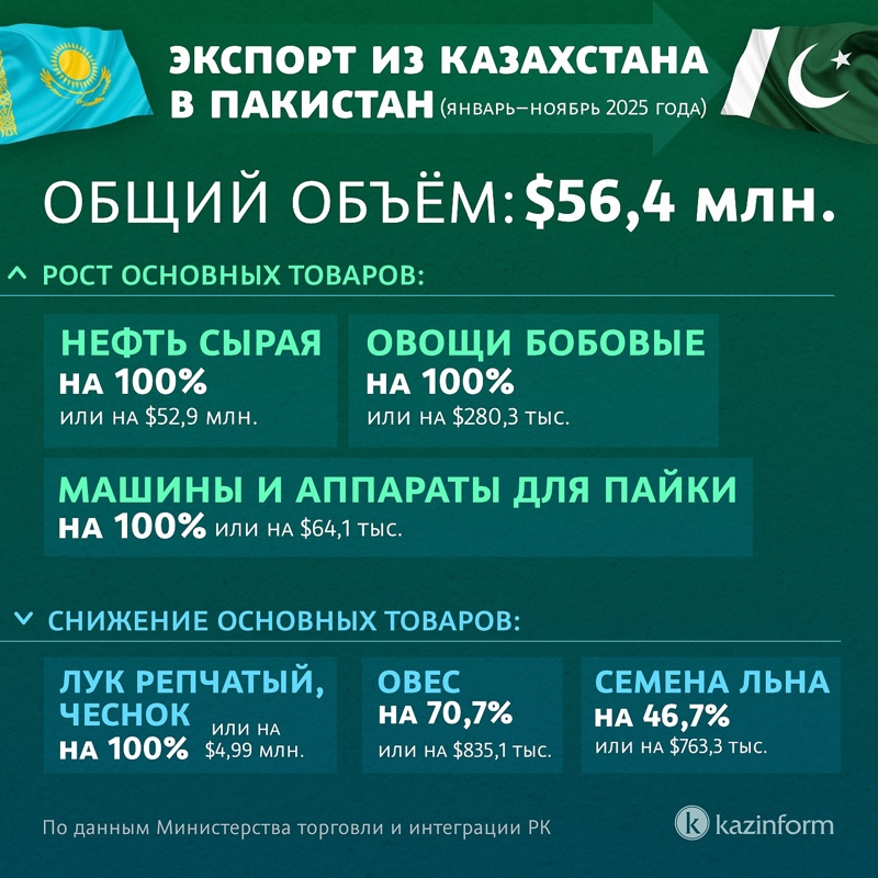 Инфографика