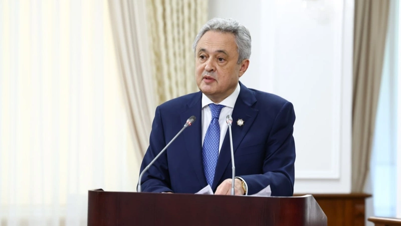 Jańa Konstıtýtsııa jobasynda ǵylym men bilim salasy mańyzdy oryn alady — akademık