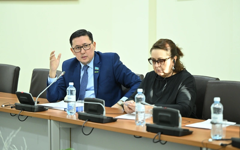 Мәжілісте мүгедектігі бар адамдардың ұйымдарына қатысты салық мәселелері талқыланды