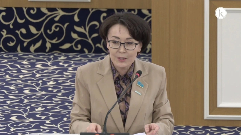 Kazakhstan sets down regulations concerning conclusion of international treaties in draft Constitution  