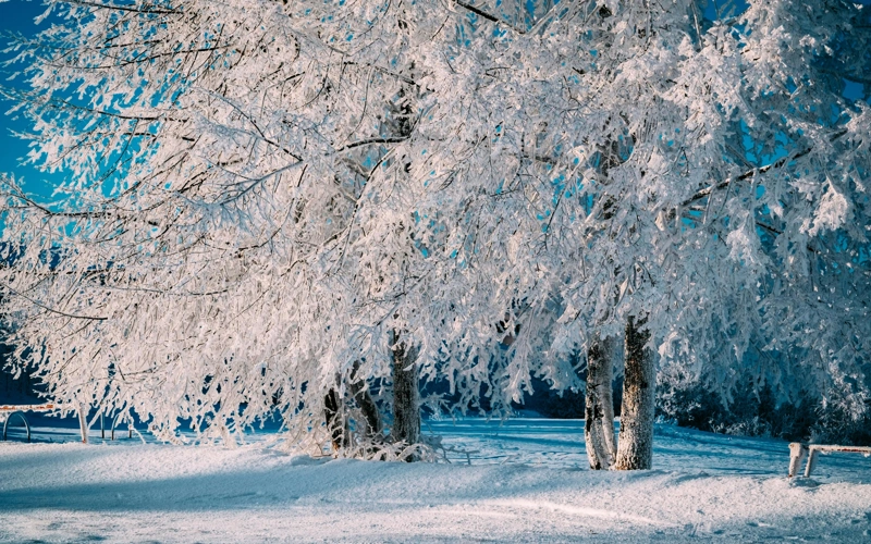 What the weather will be like in Kazakhstan Feb 5