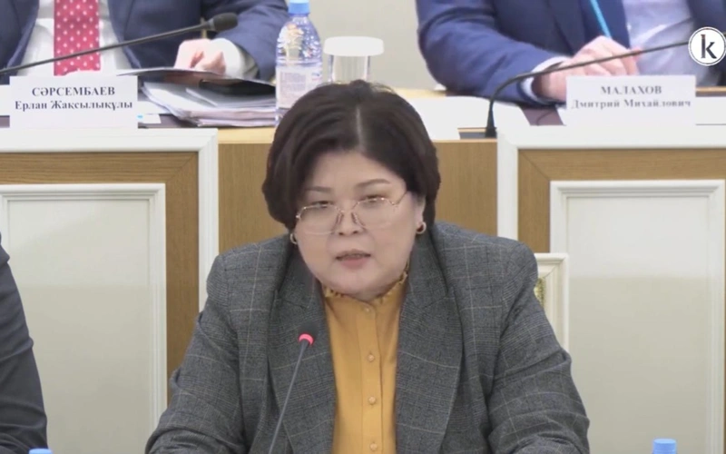  predsedatel komıssıı ı Konstıtýtsıonnogo sýda Elvıra Azımova