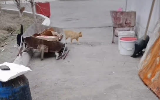 После жалоб пенсионеров проверят центр оказания специальных социальных услуг в&nbsp;Таразе