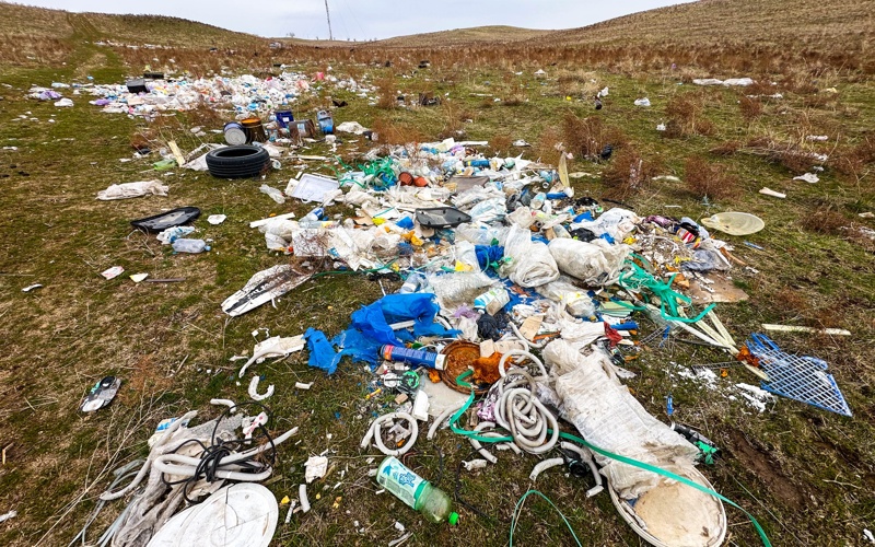 Подснежники зацвели среди строительного хлама и пластиковых отходов в Шымкенте 