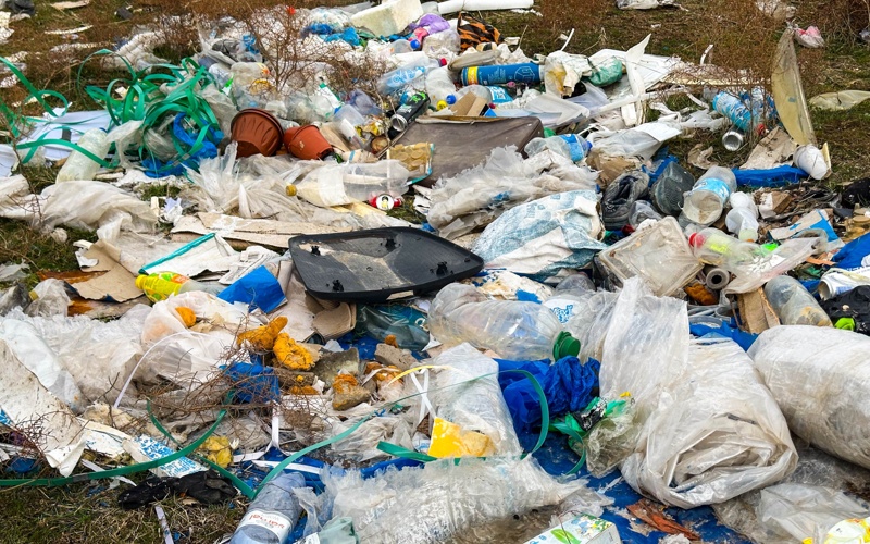 Подснежники зацвели среди строительного хлама и пластиковых отходов в Шымкенте 