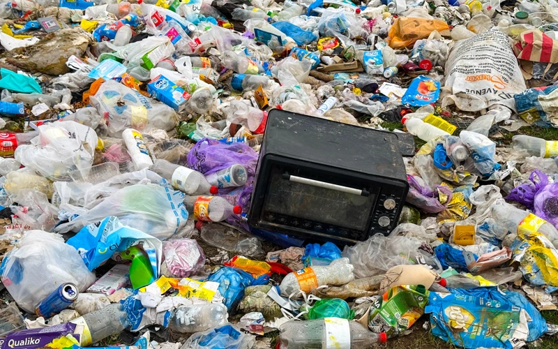 Podsnejnıkı zatsvelı sredı stroıtelnogo hlama ı plastıkovyh othodov v Shymkente 