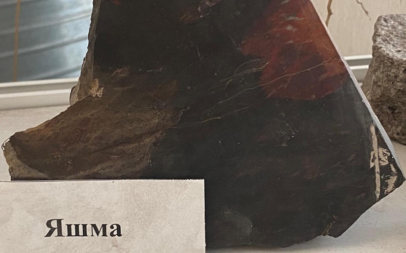 Petropavldaǵy botanıkalyq baqta tastardyń erekshe kollektsııasy saqtalǵan