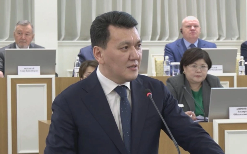 Казахстан разрабатывает собственный документ с детальным обсуждением каждой статьи - Госсоветник