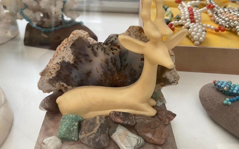 Petropavldaǵy botanıkalyq baqta tastardyń erekshe kollektsııasy saqtalǵan