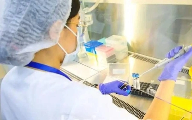 Brucellosis cases up in Akmola region 