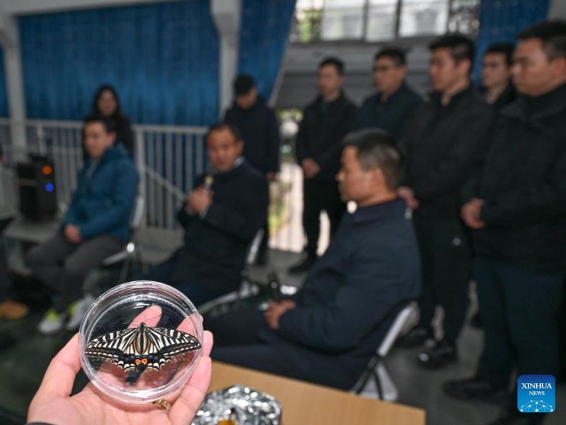 Butterfly takes flight in space: Chinese researchers achieve orbital first