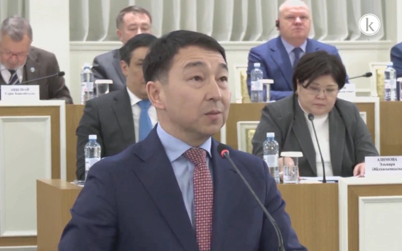 Kazakhstan to enshrine volunteer activity in Constitution"