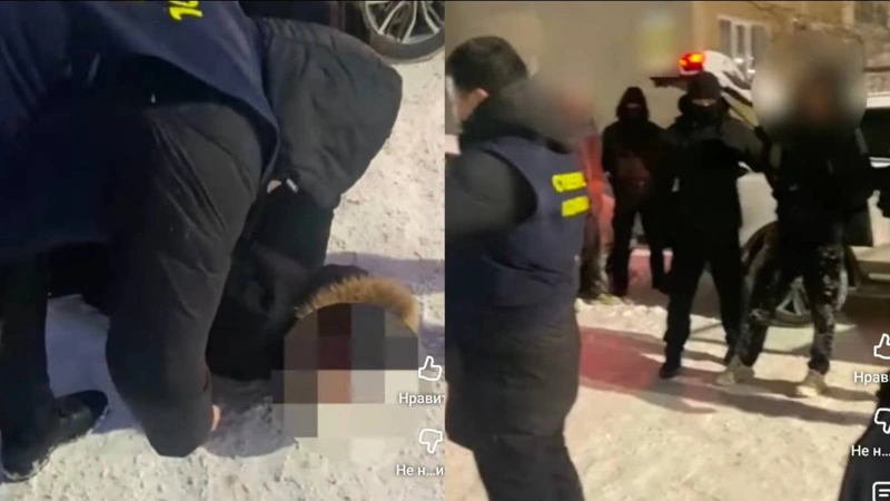 Kıberpolıtseıler