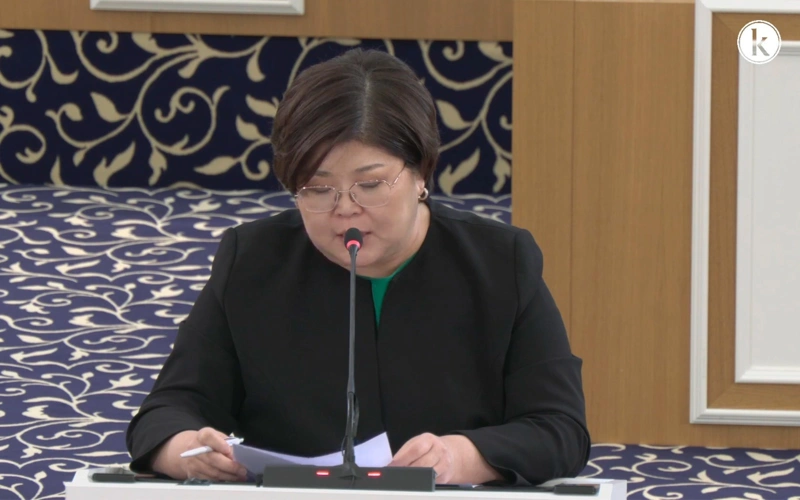 Commission proposes to submit draft of new Constitution to republican referendum