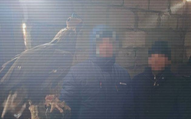 Подозреваемых в контрабанде редких птиц задержали в Павлодарской области Подозреваемых в контрабанде редких птиц задержали в Павлодарской области