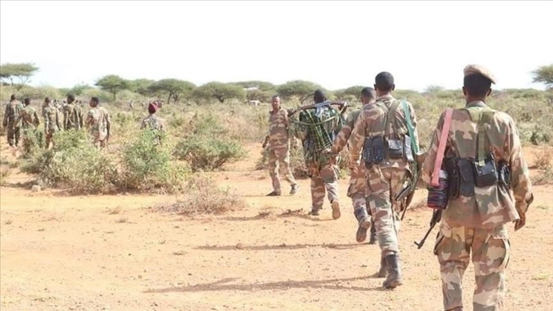 Somalıde «Ash-Shabab» terrorıstik uıymynyń 14 sodyry joıyldy