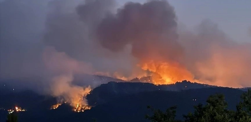 Klımattyń ózgerýi dala órtine yqpal etti