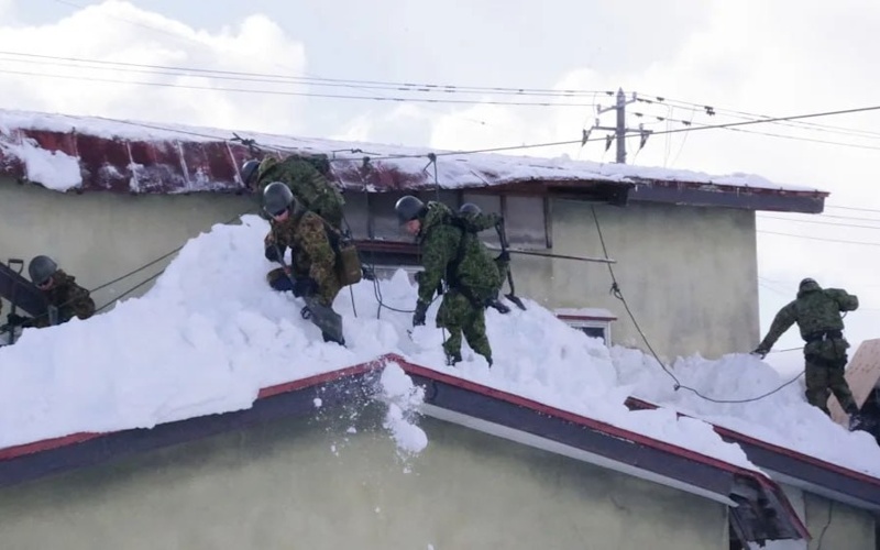 Япония, снег, армия