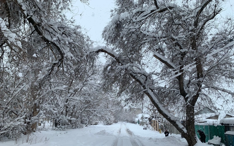 江布尔州遭遇强降雪 多地降水量超常年两倍