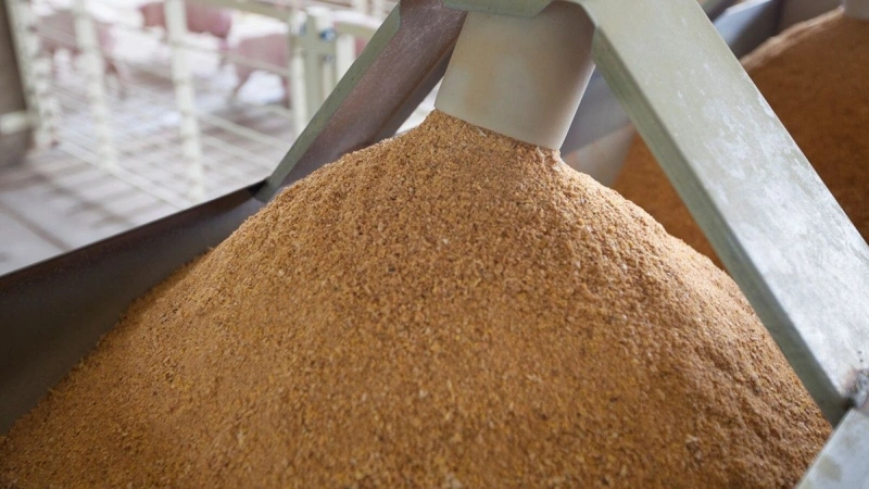 Kazakhstan dispatches container train with feed flour to China