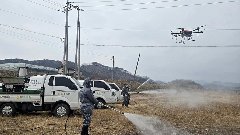 S. Korea reports 15th African swine fever case this season