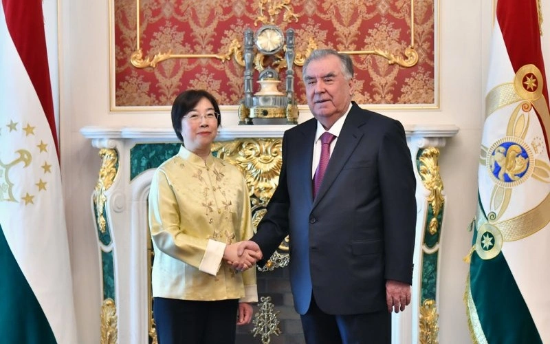 Tajikistan, AIIB discuss prospects for expanding cooperation