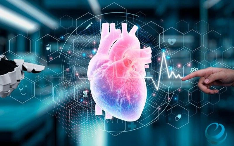 Ирандық ғалымдар жүрек тінінің өздігінен жиырылатын 3D-моделін жасады