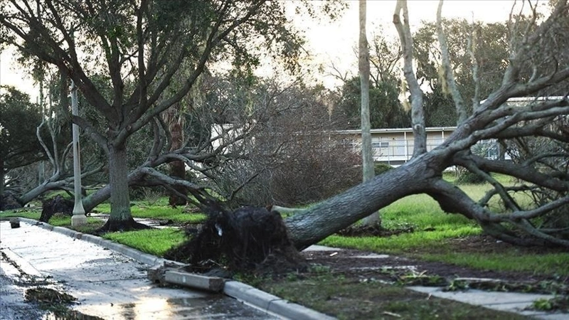 Wild storm hits New Zealand, disrupts flights, leaves thousands without power