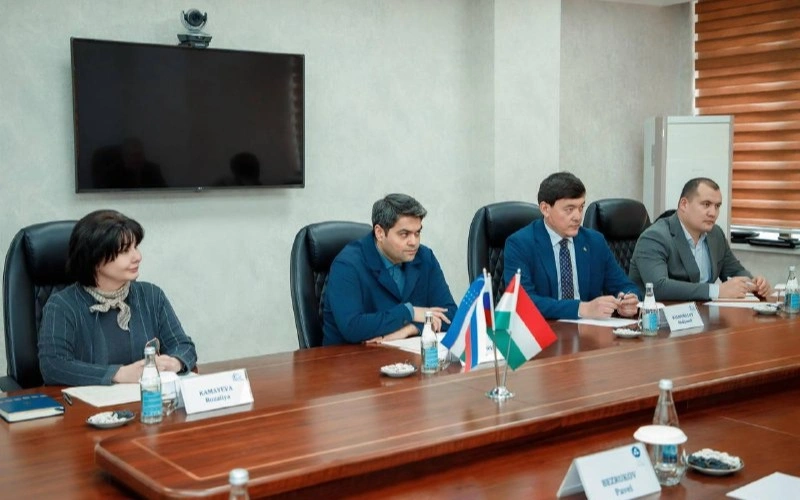 Uzbekistan, Hungary advance nuclear plant partnership
