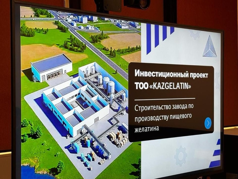 Встреча вице-министра сельского хозяйства Ермека Кенжеханұлы с представителями ТОО &laquo;KAZGELATIN&raquo;