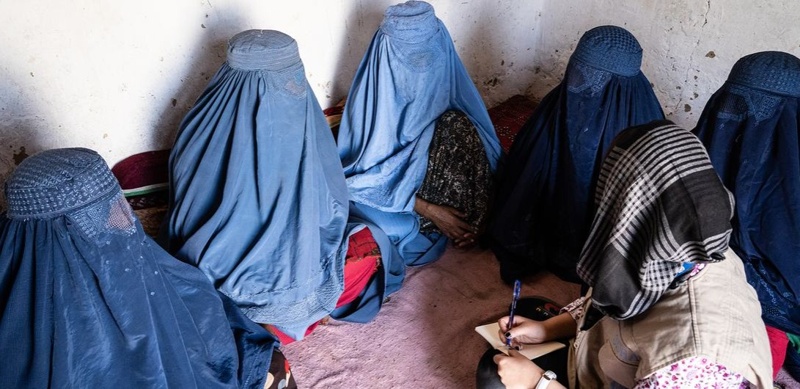 талибы талибы