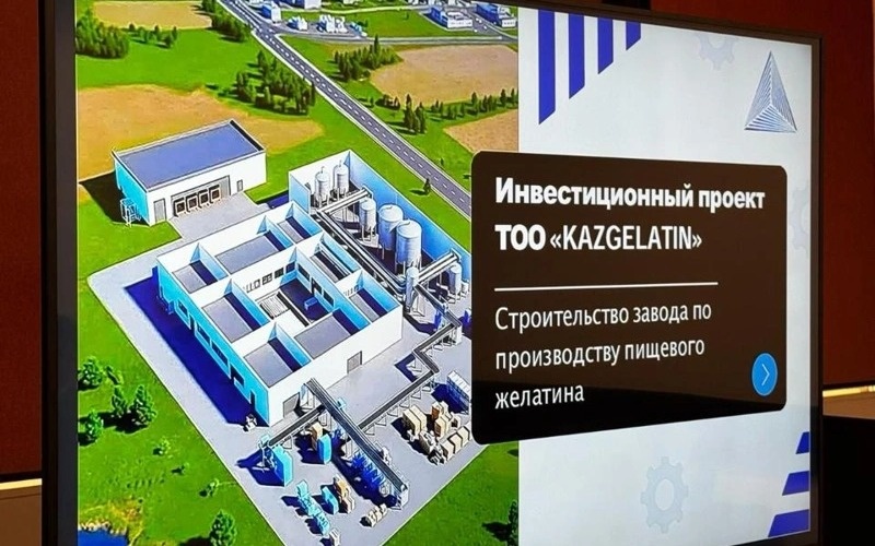 Kazakhstan to build food gelatin plant